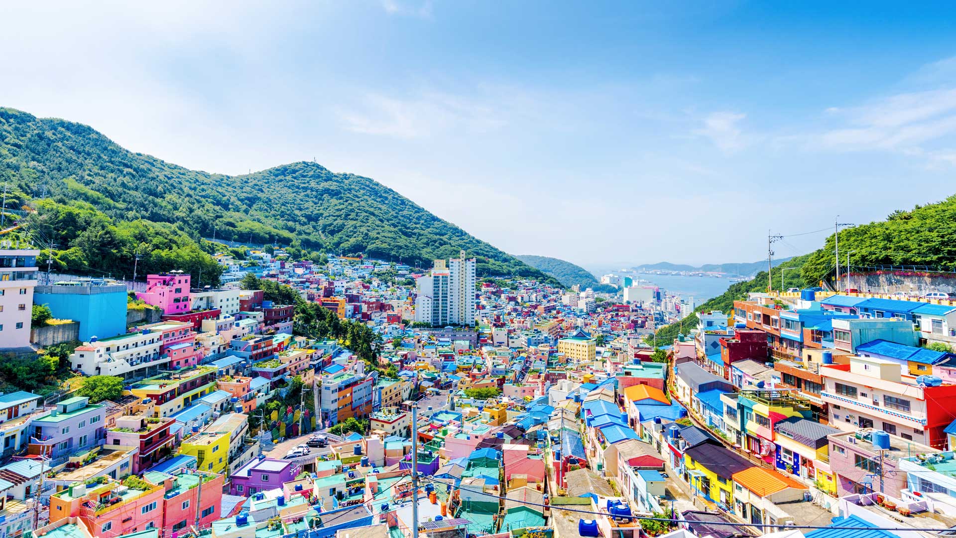 South Korea Discovery